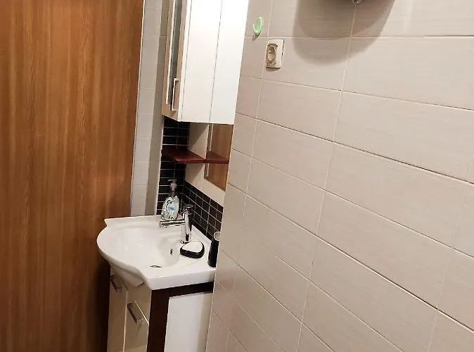 Center 1 Apartament *